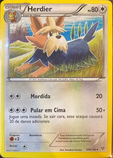 Carta completa da variante XY (PT-BR)