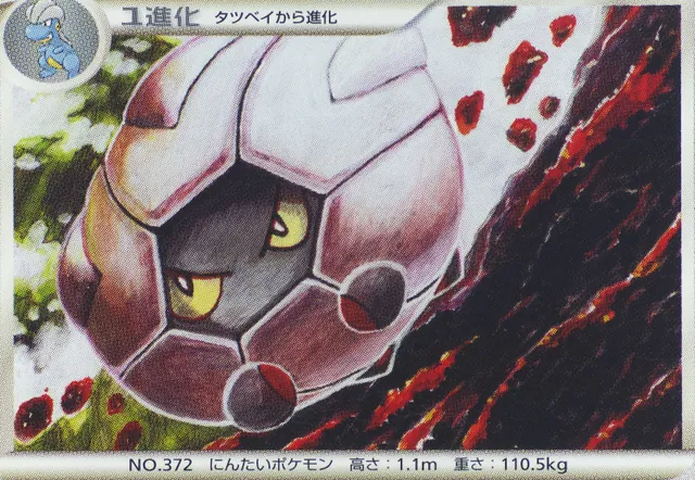 Obra Shelgon