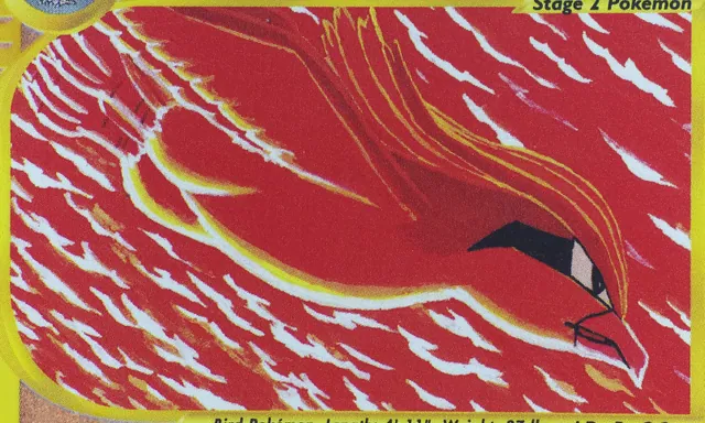 Obra Pidgeot
